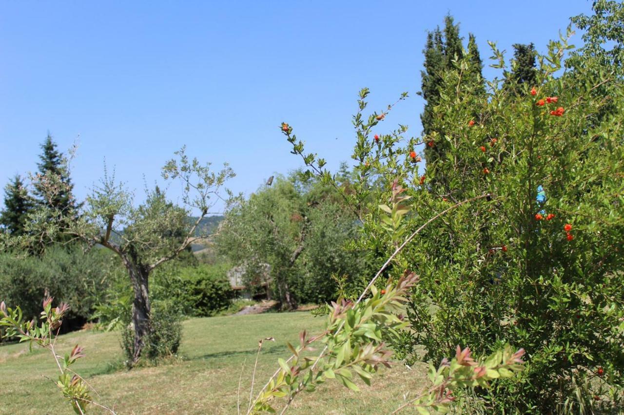 La Casa Di Eva Villa Castel Viscardo Dış mekan fotoğraf